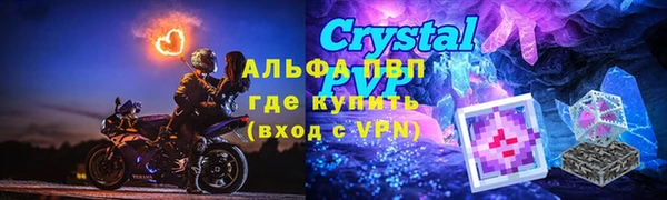 альфа пвп Гусев